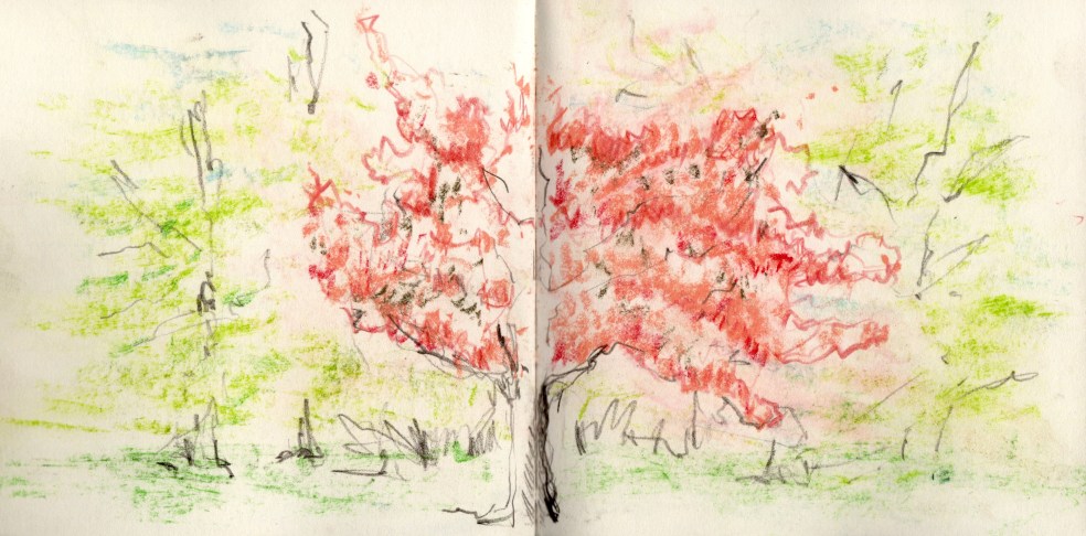 2F721D73-0CE8-4FC2-9180-07B77DB7F4E2