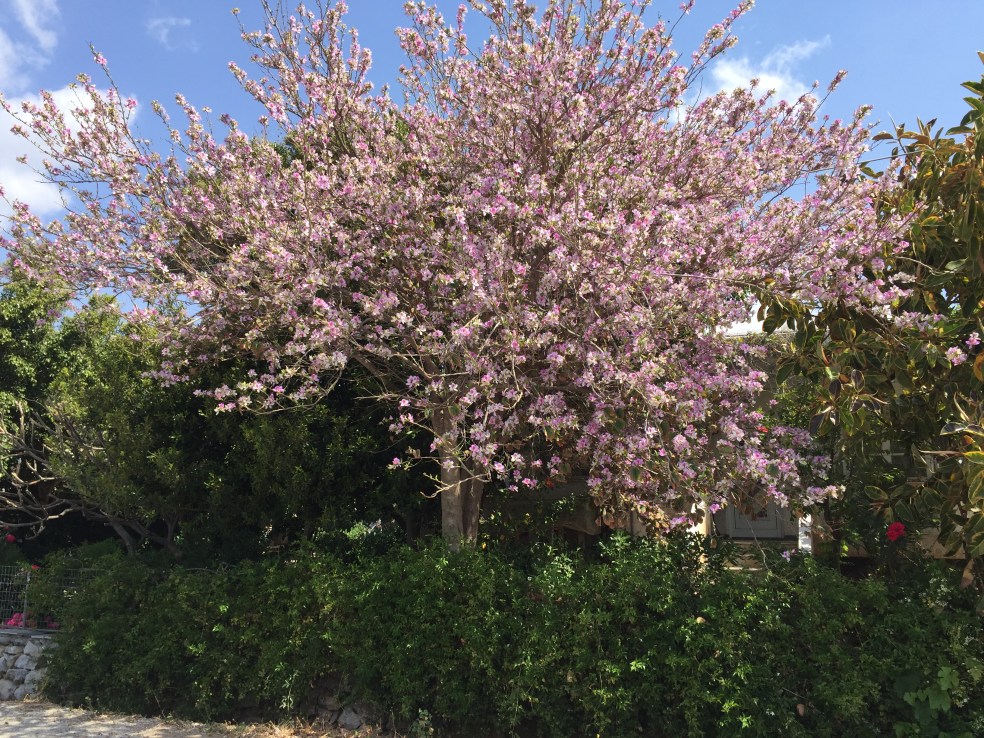 56376989-232C-4293-94BE-8ACDFACC4163