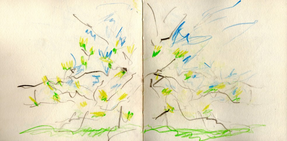 61467938-27BF-42D7-9744-1D96B447F30E