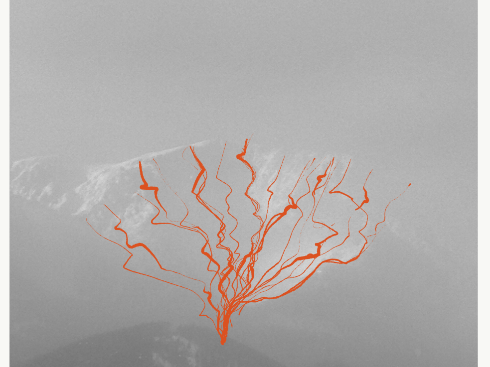 681DDB9B-996A-43CE-96F2-AC087FA004BA