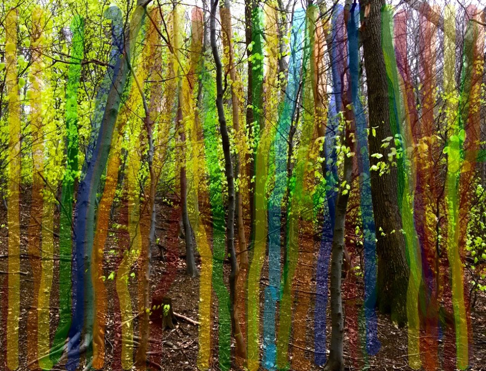 BD54B4AA-C597-451A-A97D-6AEEBB28FB18