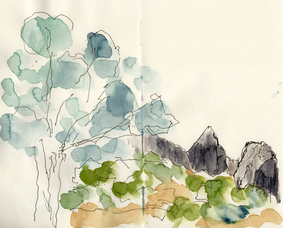 2CD18968-808B-470F-AC8F-45E38E4FAA8F