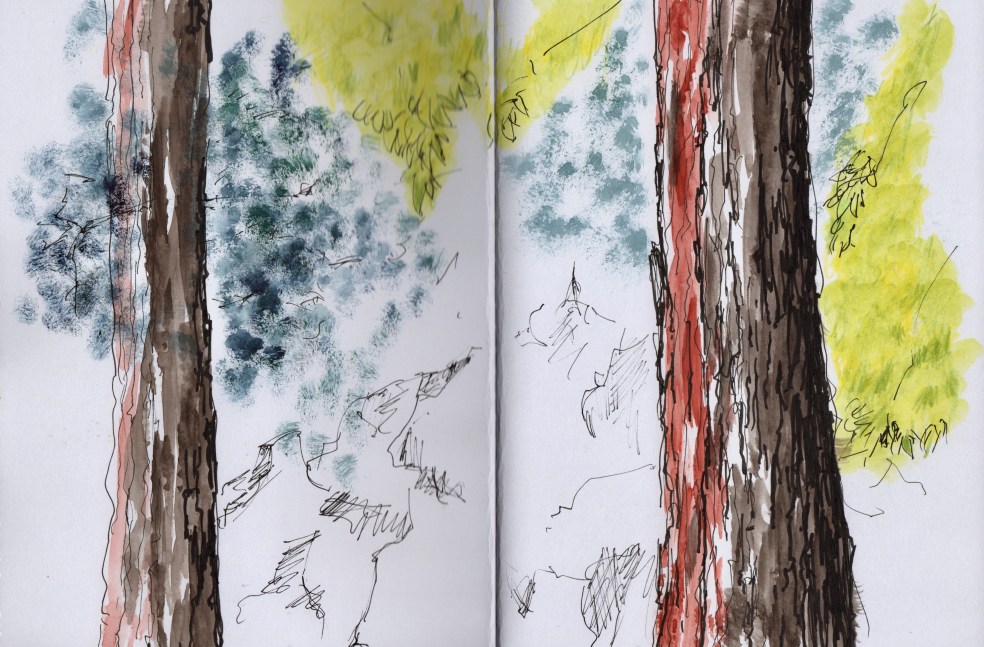 76B44C2F-FB99-47B7-91FC-CEC9189B24BC