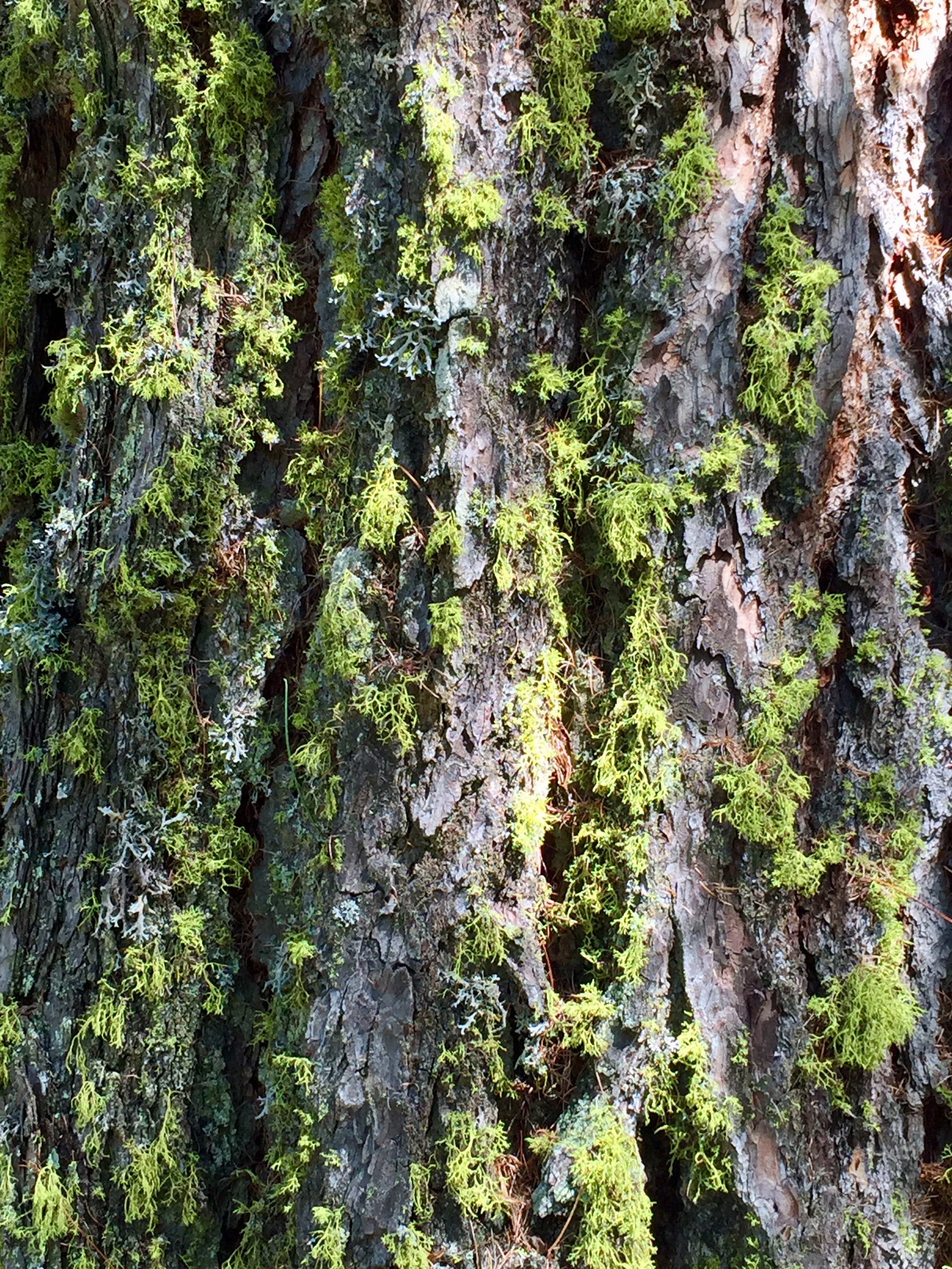 10816E13-29C1-47DF-8BB6-D3E12B2DD5AA