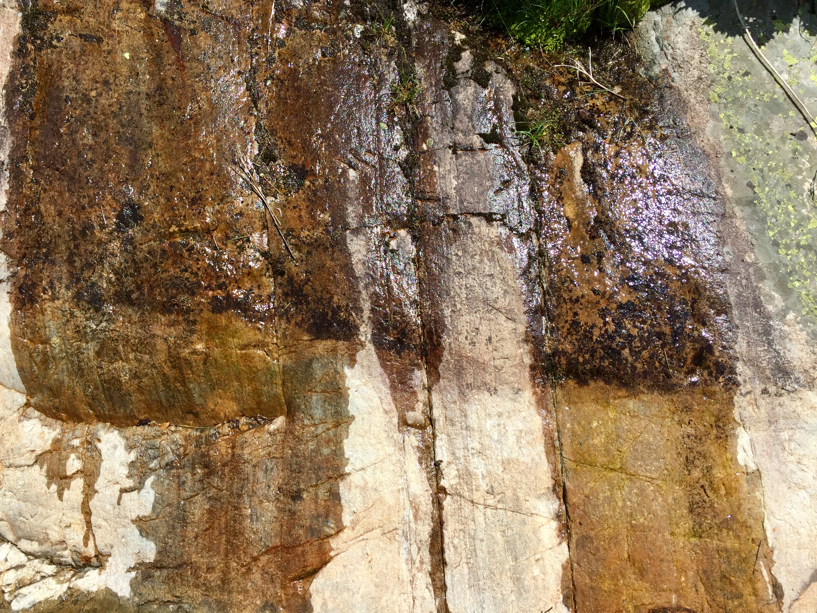 E192E40D-55D5-40A5-998F-CAEF012FEAEA