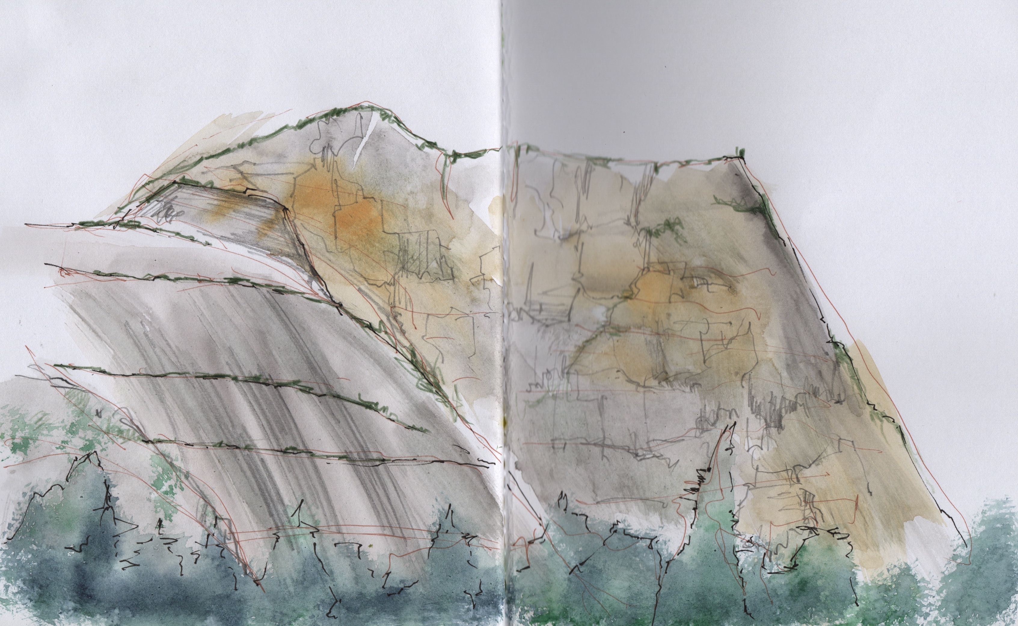 F7CF4AD8-CA6A-4768-BF25-DC7E4EAEFA8E