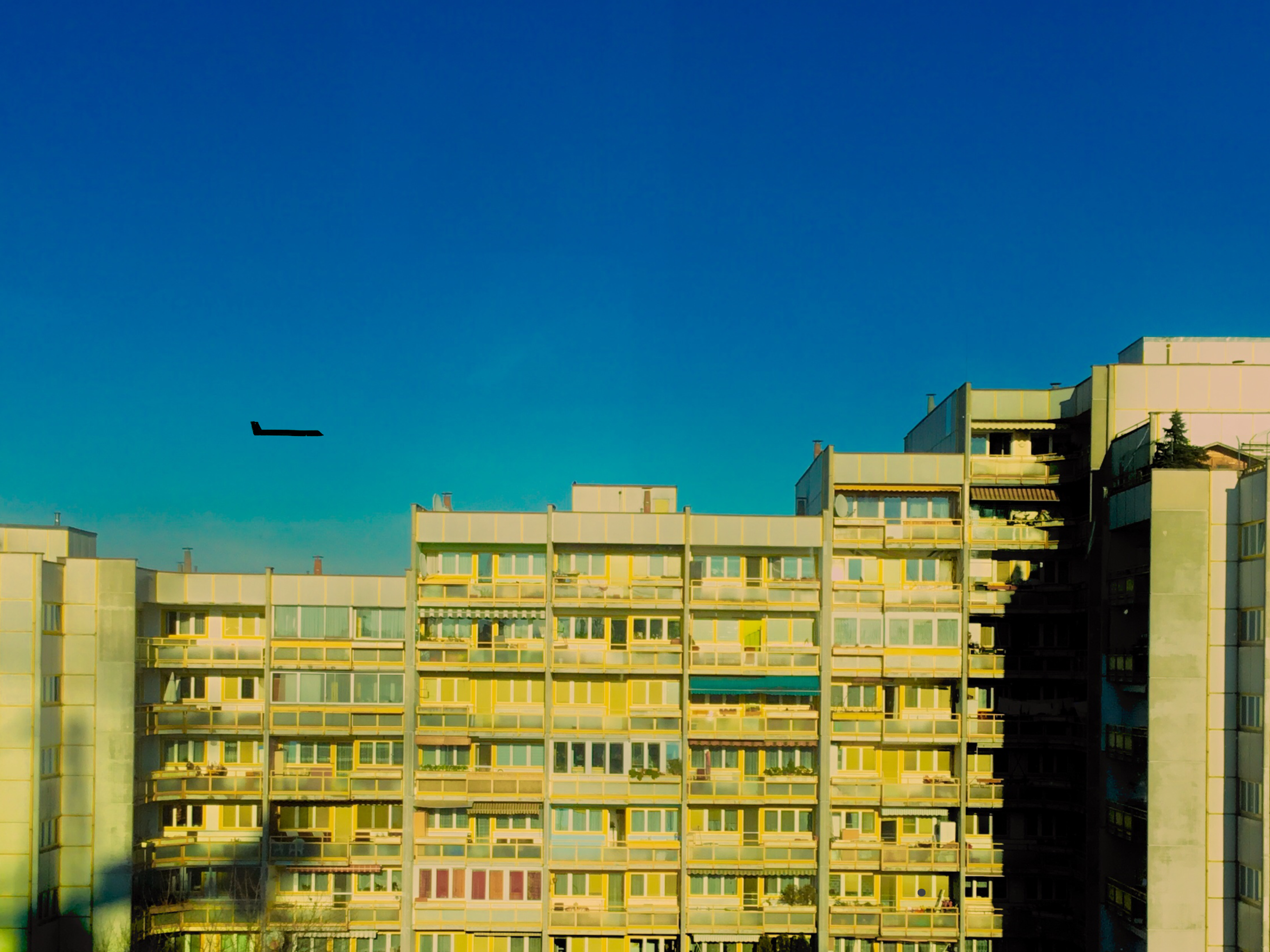 88CEB6B5-63F2-42B9-94F4-3B5A83BC5F98