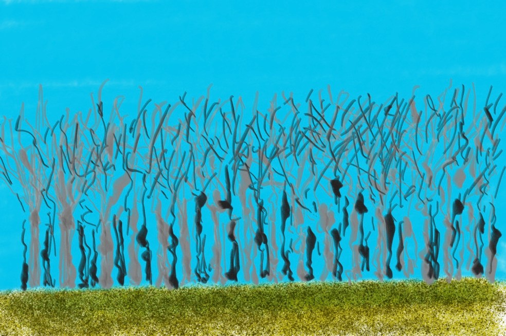 BB6EAF8E-CED8-4C68-A81E-91BDA89105DA