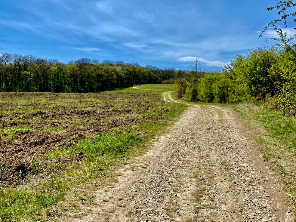 042BF36F-7FD3-4321-935A-CCED32A93000