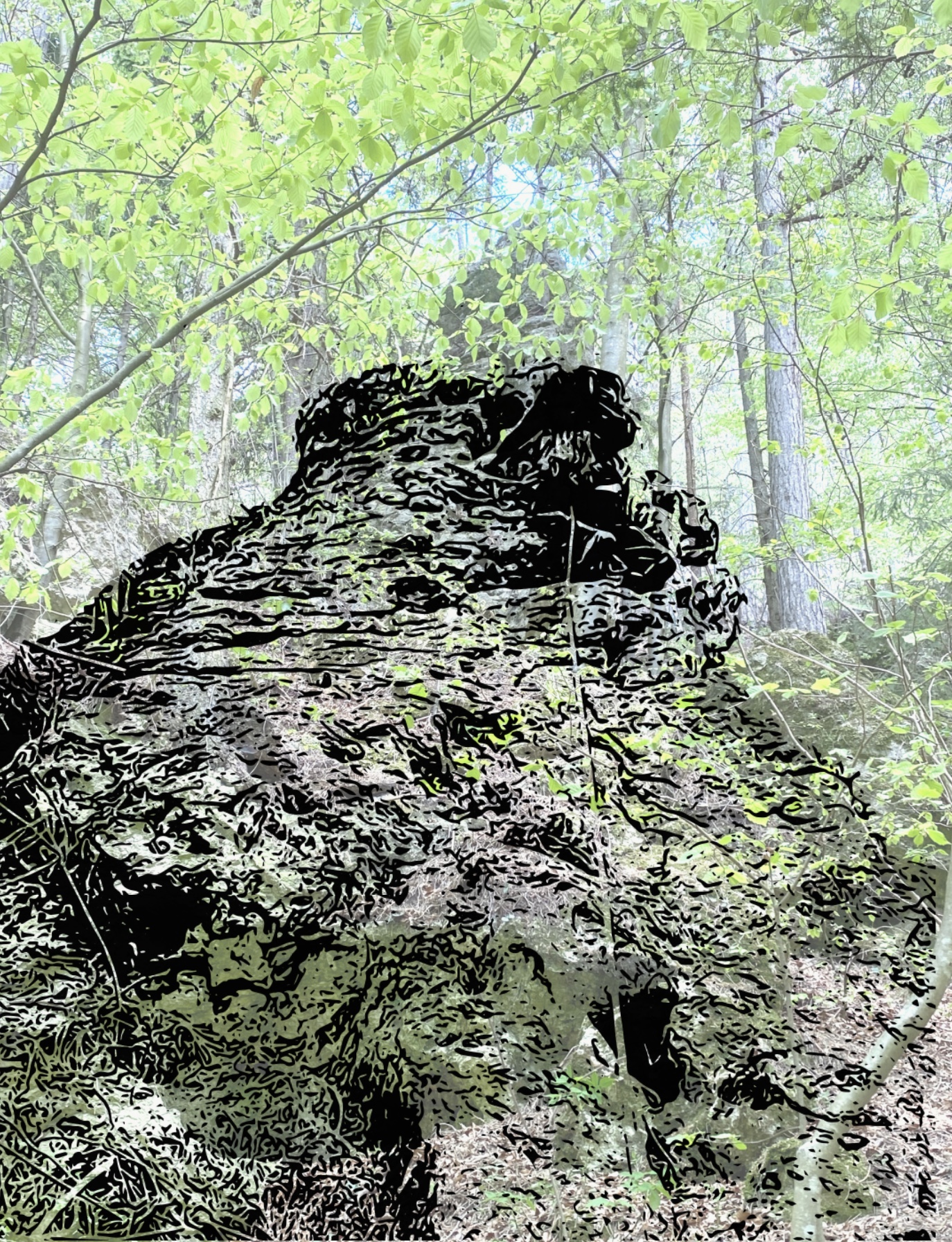 5AB60A77-EFF6-4F73-9D6E-0F06541AA062