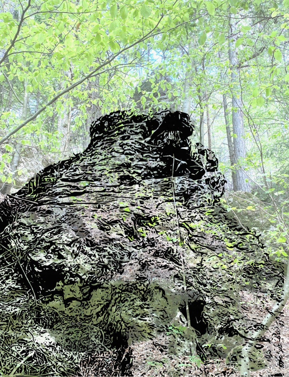 5AB60A77-EFF6-4F73-9D6E-0F06541AA062