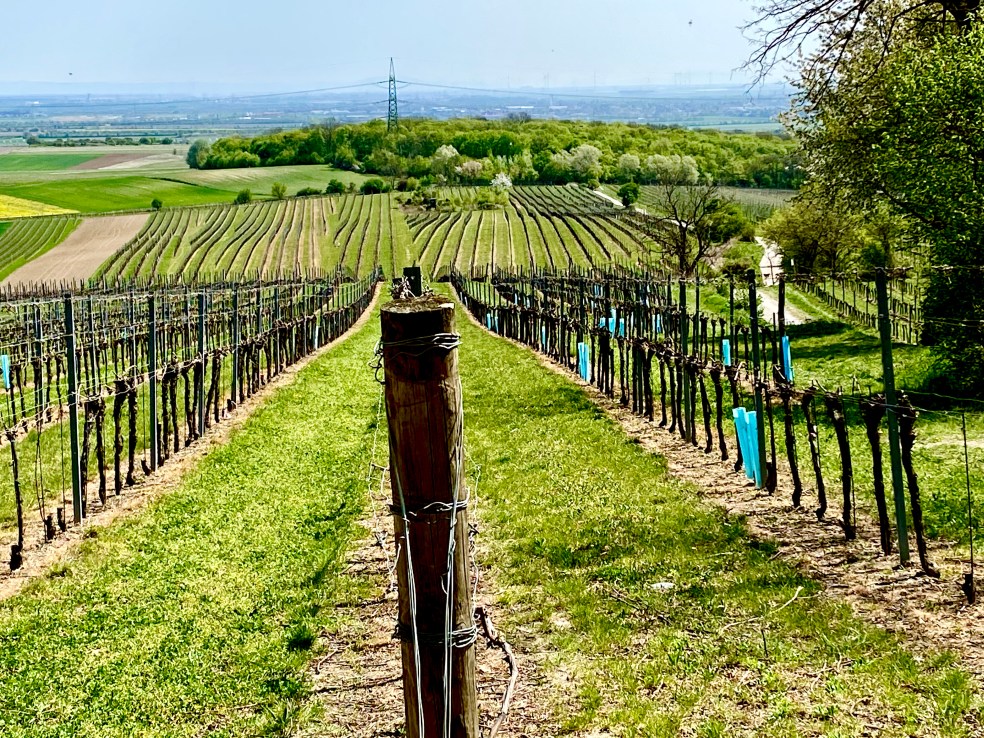 B3F52E39-8AF6-40D9-A20C-1878BE5110ED